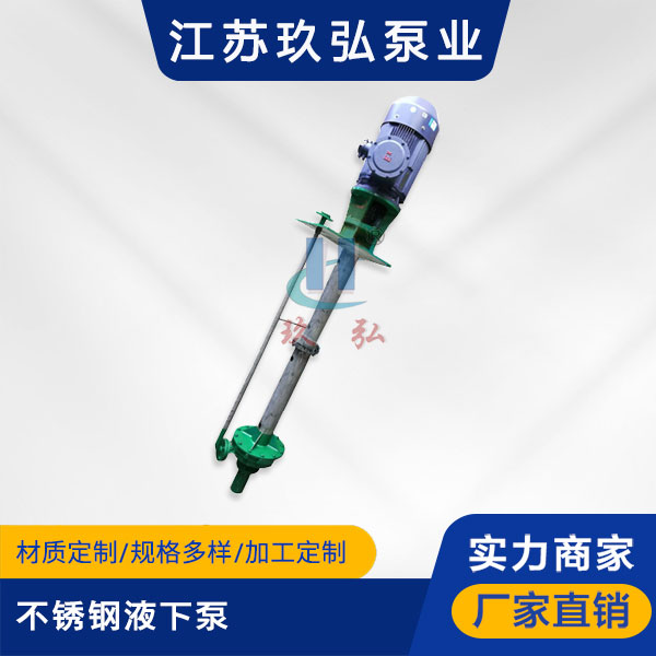 FY型不鏽鋼液下泵(圖(tú)1) FY型不鏽鋼液(yè)下泵(圖1)