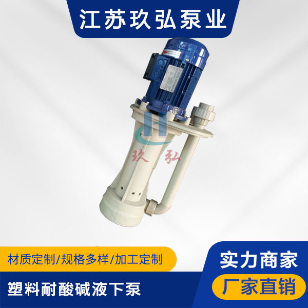 TPT塑（sù）料耐酸堿液下泵(圖1)