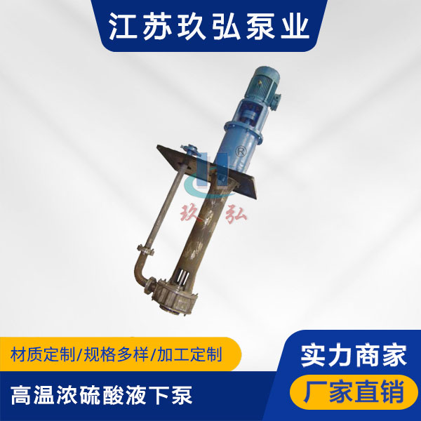 LSB高溫濃硫酸液下泵(圖1)