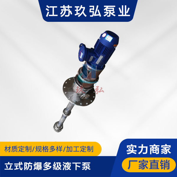 HDY立式防爆多(duō)級液下泵(圖1) HDY立式防爆多級液下泵(圖1)