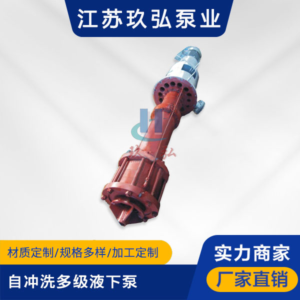 DLY自衝洗多級液下泵(圖1) DLY自衝洗多級液下泵(圖1)