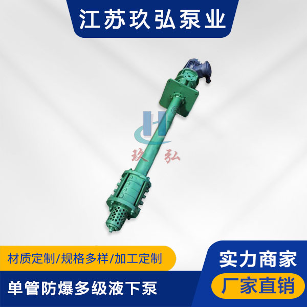 DLY單管防爆多級液下泵(圖1) DLY單(dān)管防爆多級液下泵(圖1)