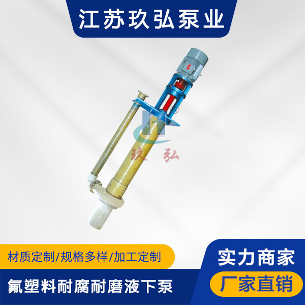 FYU常規耐（nài）腐耐磨液下（xià）泵(圖1)