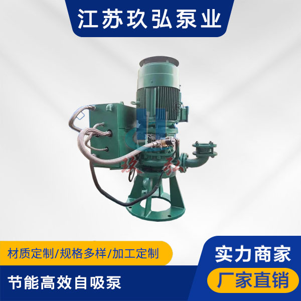 GLB高效節能自控（kòng）自吸泵（bèng）(圖1)