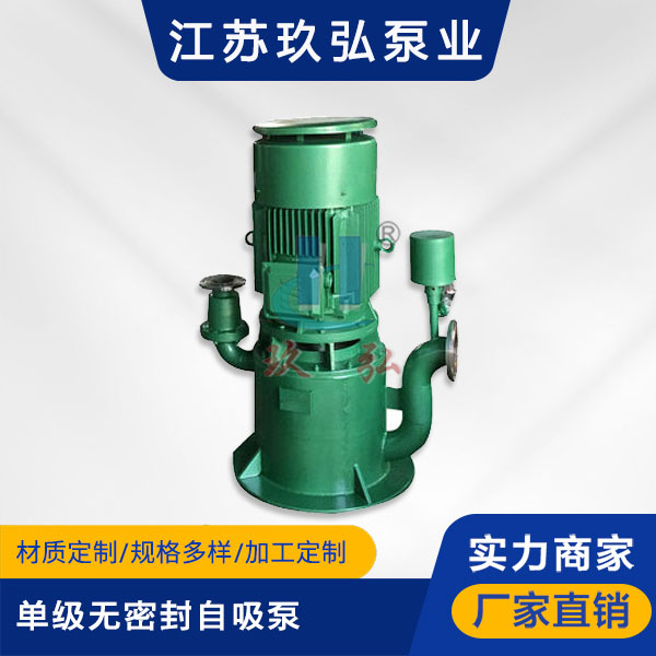 WFB單級無密封自控自吸泵(圖（tú）1)