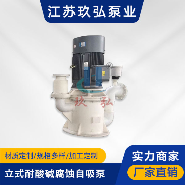 WFB立（lì）式耐酸堿腐蝕自吸泵(圖1)