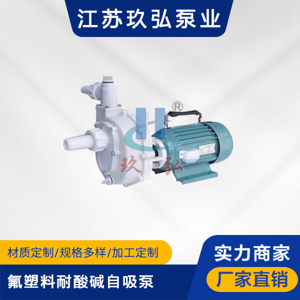 103手提式氟（fú）塑（sù）料耐酸堿自吸泵(圖1)