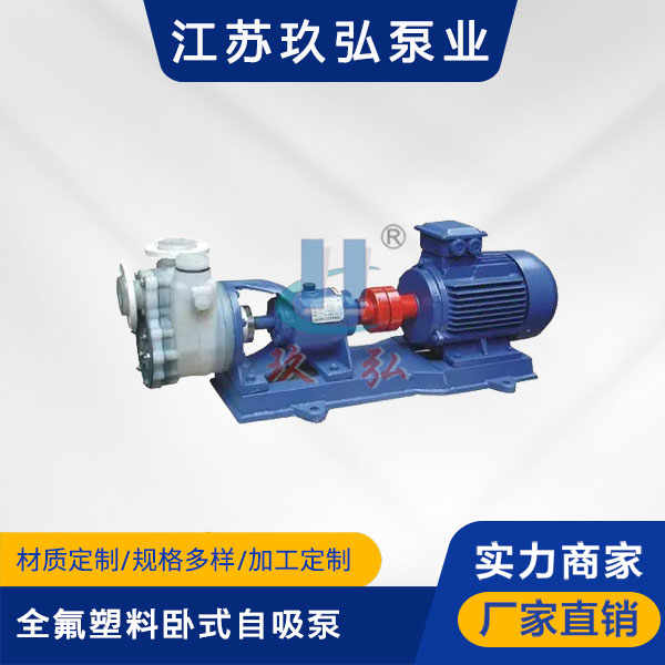 FZB全氟塑（sù）料（liào）臥式自吸泵(圖1)