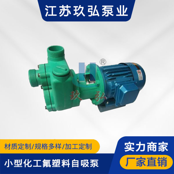 102小型化工氟塑料自（zì）吸泵（bèng）(圖1)