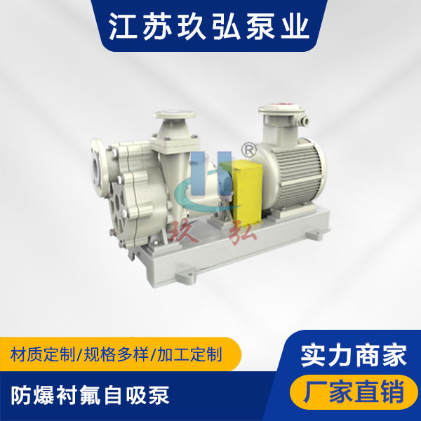 FZB防爆襯（chèn）氟自吸泵(圖（tú）1)