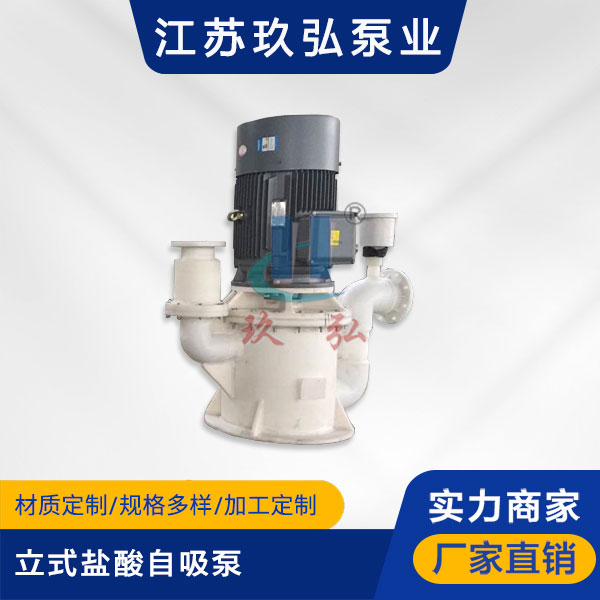 WFB立式鹽酸（suān）自吸泵(圖1)