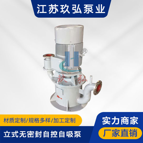 WFB立式無密封自控自（zì）吸泵(圖1)