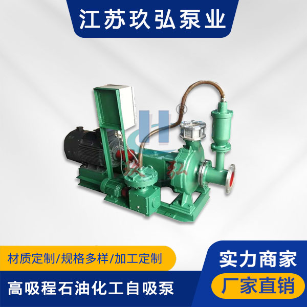 TZFB-II高吸程石油化工（gōng）自吸泵(圖1)