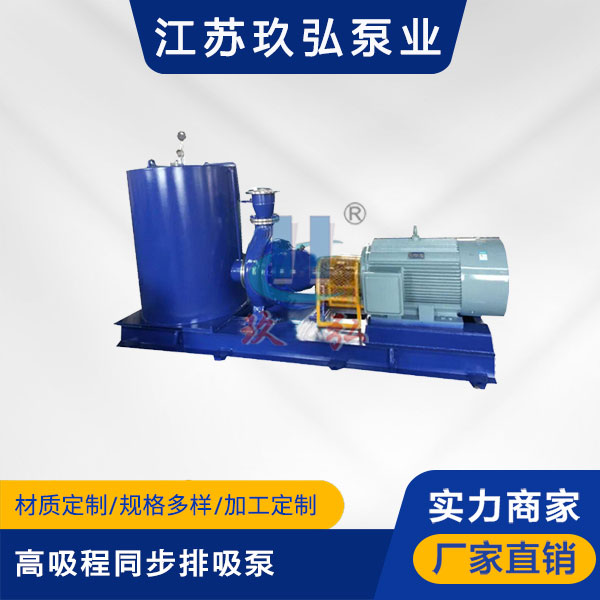 TBFB高吸程同步（bù）排吸泵(圖1)