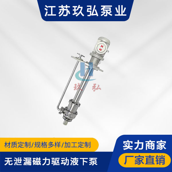 HYC無泄漏磁（cí）力驅動（dòng）液下泵(圖1)