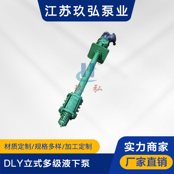 DLY立式多級液下泵(圖1)