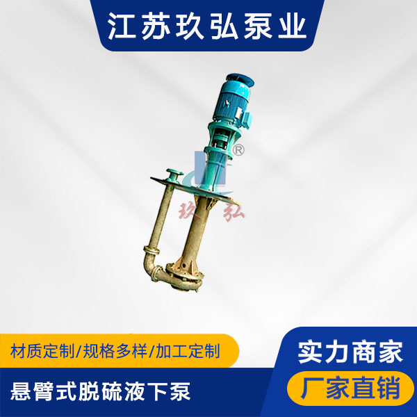 PLC懸臂式脫硫液下泵(圖(tú)1) PLC懸臂(bì)式脫硫液(yè)下泵(圖1)