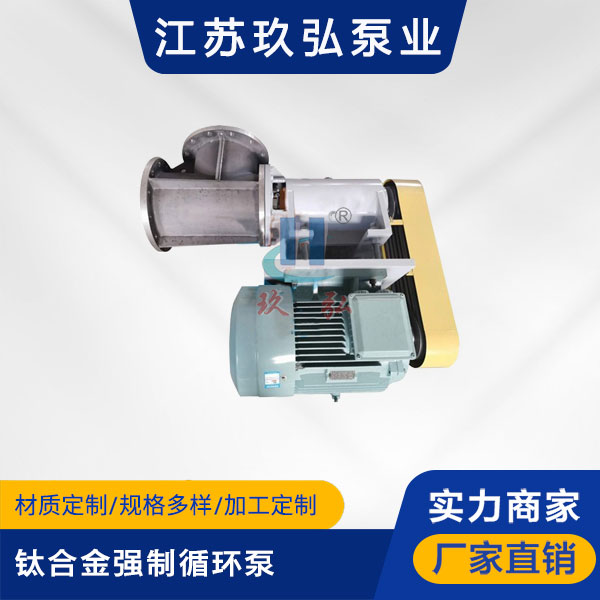 FJX-Ⅱ型鈦合金強製循環泵(圖1)