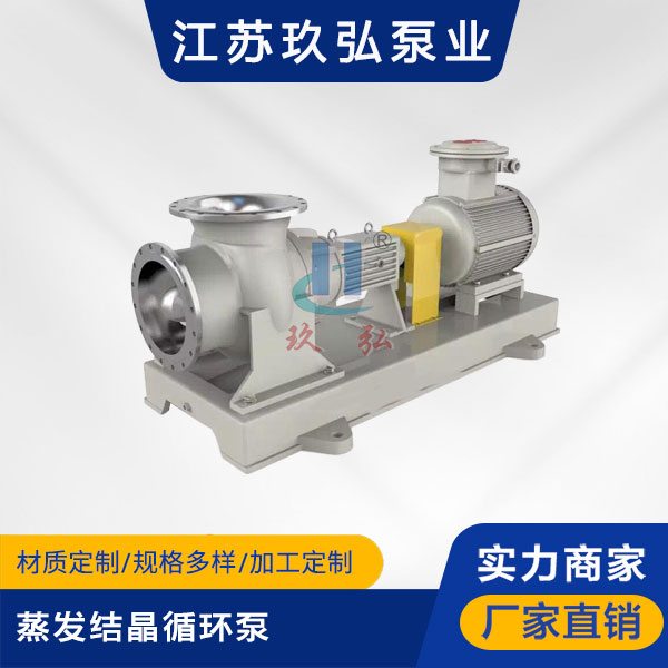 FJX蒸發結晶循環泵(圖1)