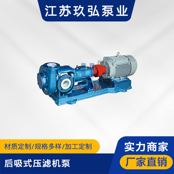 HFM-1型單級耐腐耐磨後吸式壓濾機泵(圖1)