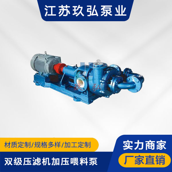 HFM-2型雙級壓濾機（jī）加壓喂料泵(圖1)