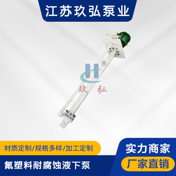 FYS氟塑料耐腐蝕液（yè）下泵(圖1)