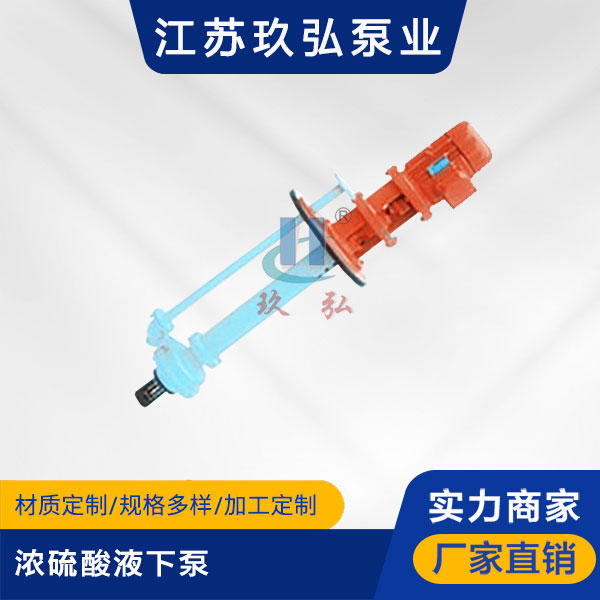 GBY濃（nóng）硫酸（suān）液下（xià）泵(圖1)