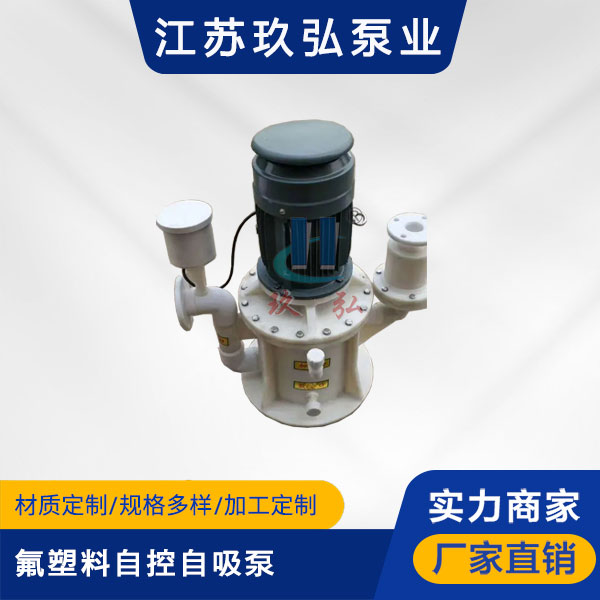 WFB氟塑料自控自吸泵(圖1) WFB氟塑料自控自吸泵(圖1)