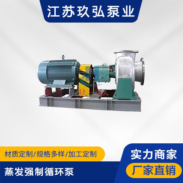 ECP混流式蒸發強（qiáng）製循環泵(圖1)