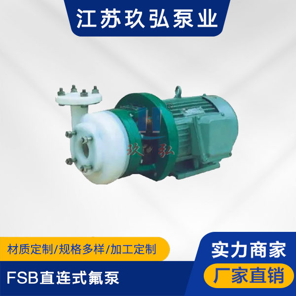 FSB直連式(shì)氟泵(圖1) FSB直連式氟泵(圖(tú)1)
